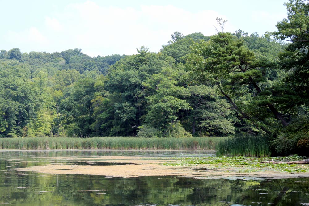 Devil's Cove Monroe County Park