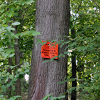Devil's Cove Posted sign