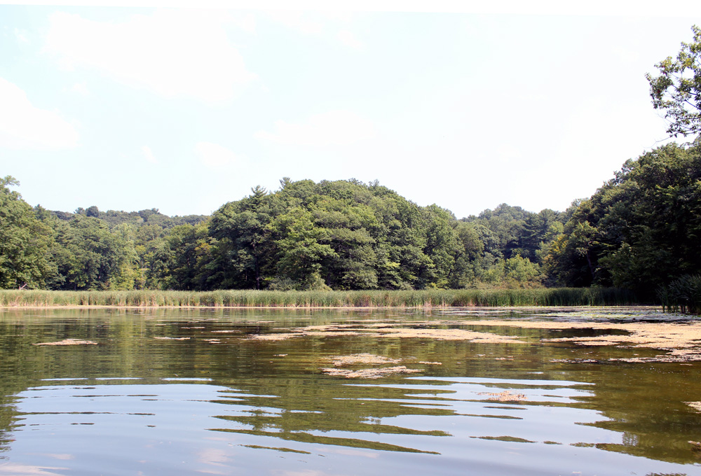Devil's Cove Park Inlet