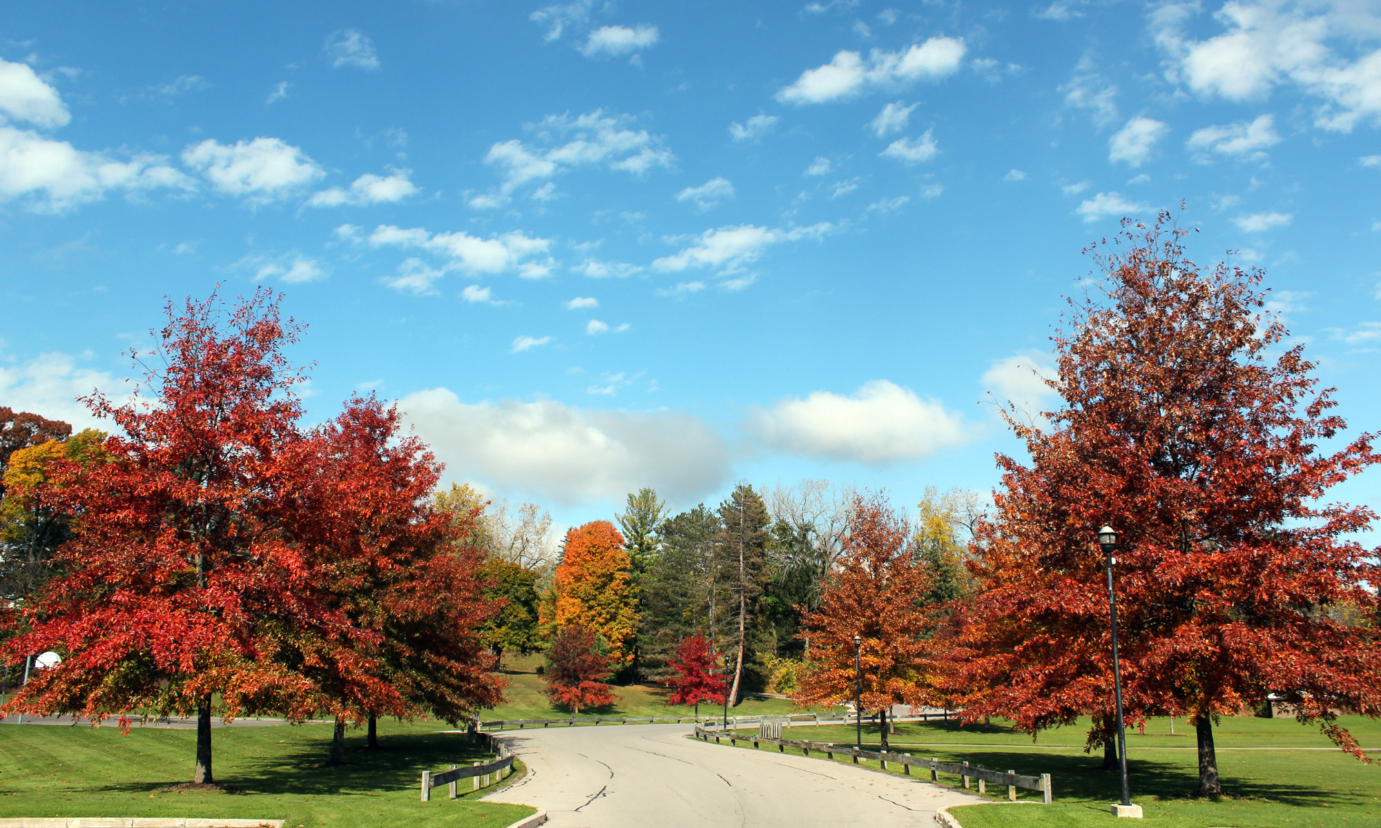 Legion Eyer Park