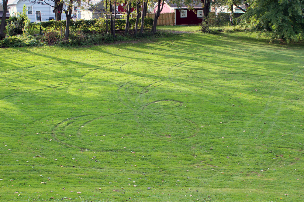Tire tracks in field