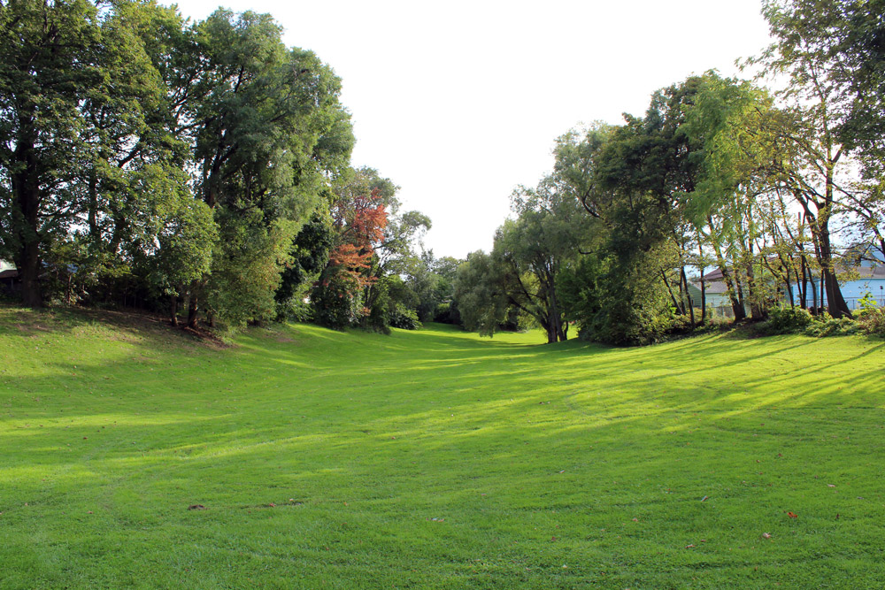 Pappas Park open field
