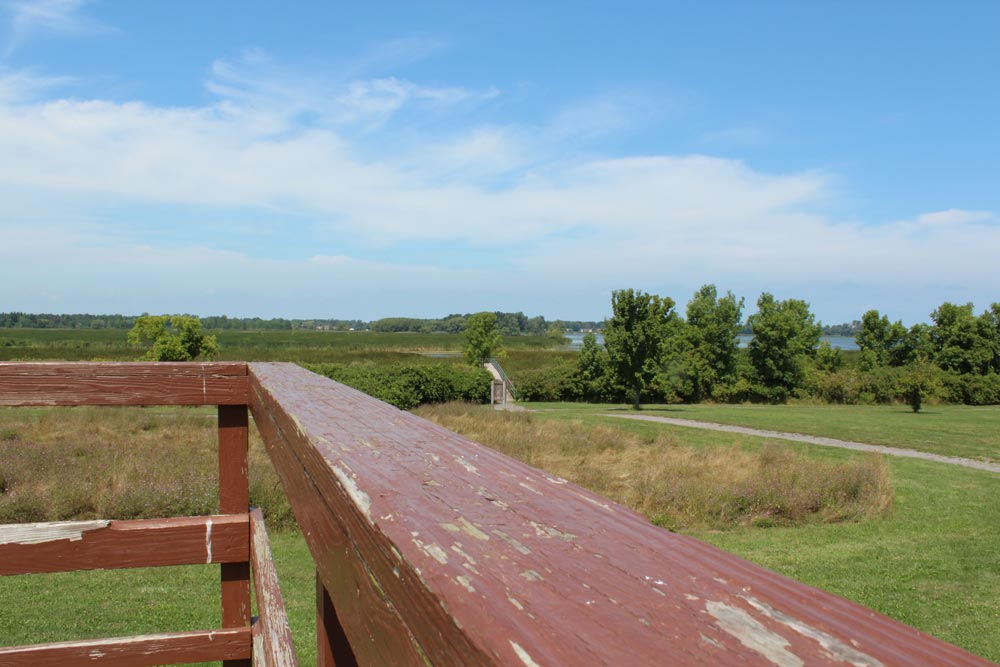 Braddock Bay hawk watch deck
