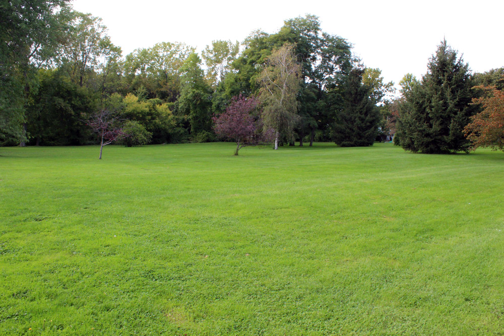 Columbus Park open field