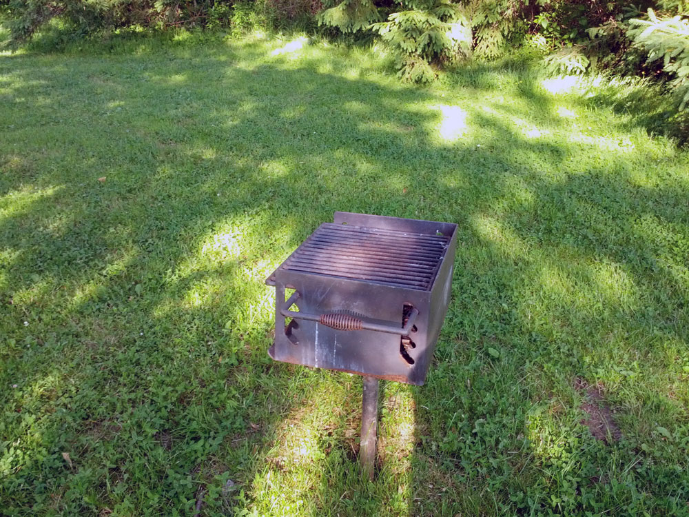 Grandview Park barbecue