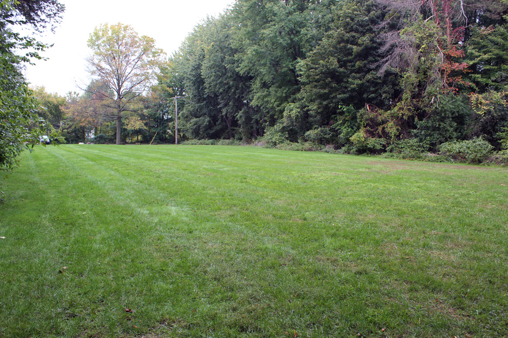 Griffith Park open field
