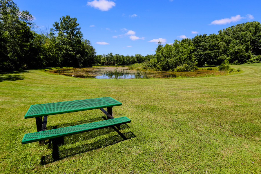 Rush - Stoney Brook Road Park 3 of 20