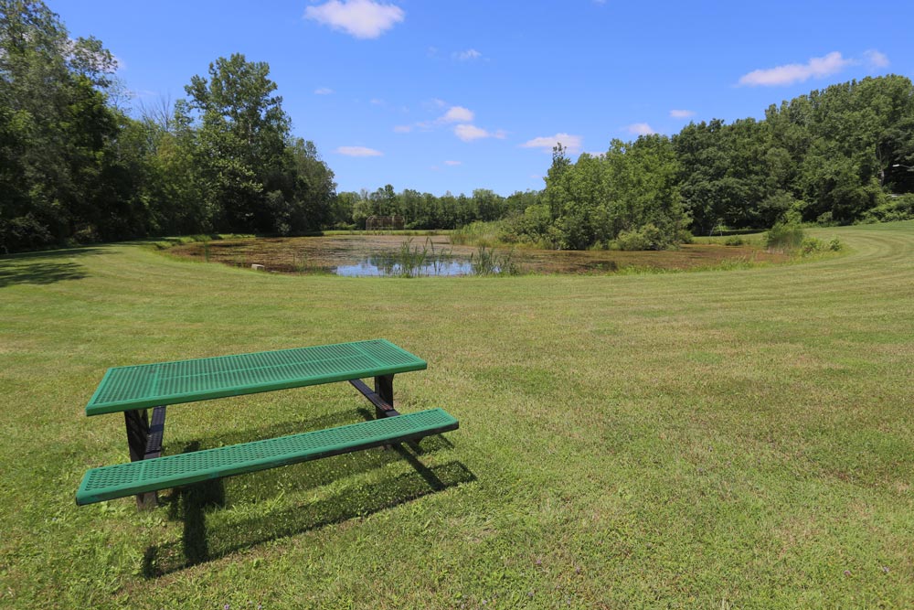 Stoney Brook Road Park bench and pond